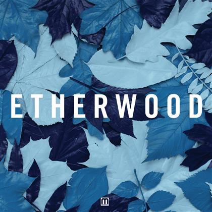 Etherwood - Blue Leaves (LP + CD)