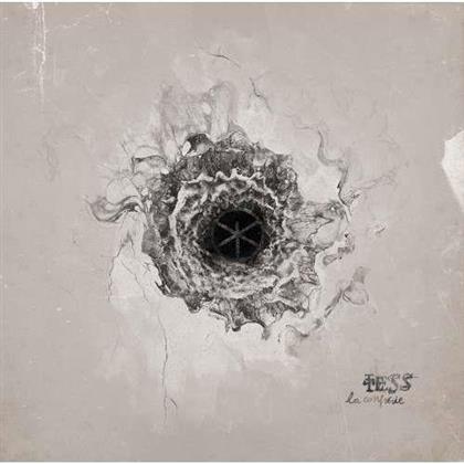 Tess - La Confrerie