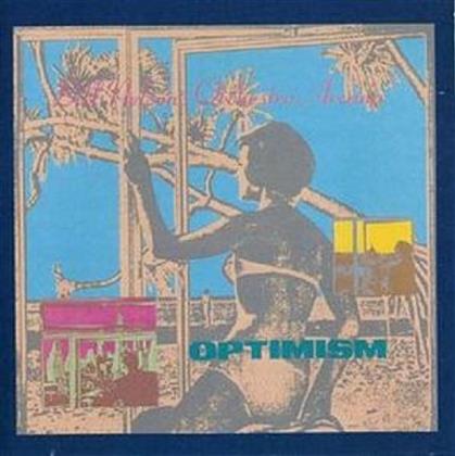 Bill Nelson - Optimism - Expanded