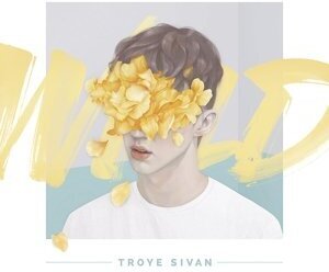 Troye Sivan - Wild