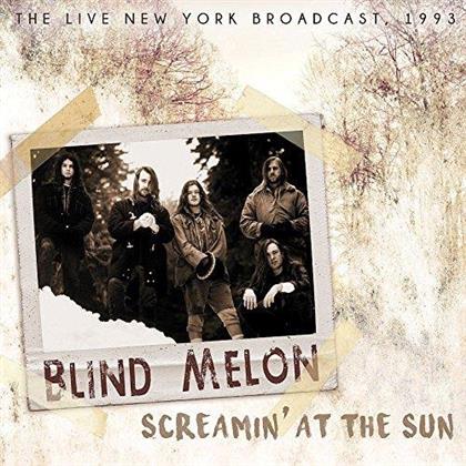 Blind Melon - Screamin' At The Sun