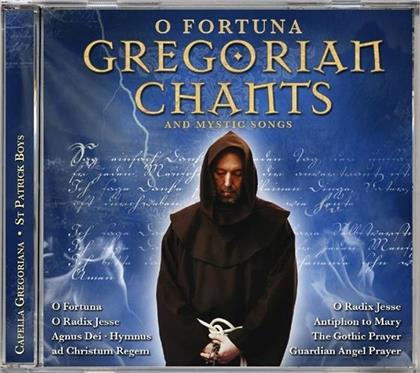 Gregorian Chants - Gregorian Chants