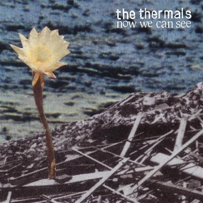 The Thermals - Now We Can See - 7 Inch (7" Single)