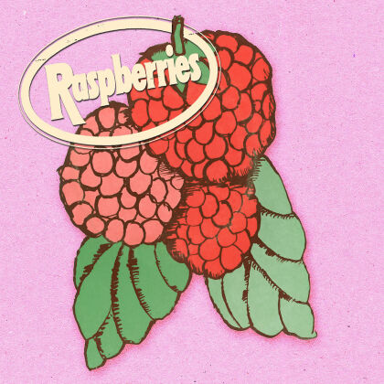 The Raspberries - Classic Album Set (4 CDs)