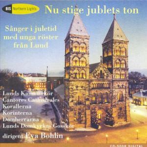 Various Artists - 2 Cds - Nu Stige Jublets Ton / Sanger I Juletid Med Unga Röster Fran Land - Christmas