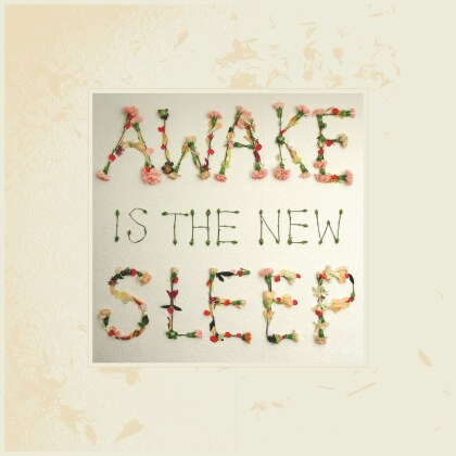 Ben Lee - Awake Is The New Sleep (2 LPs)