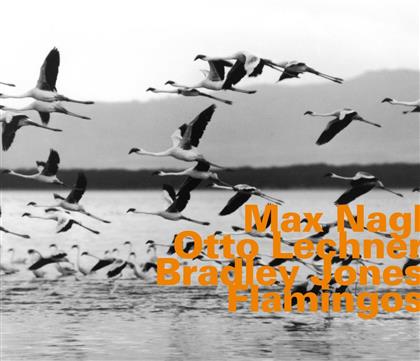 Max Nagl & Otto Lechner - Flamingos