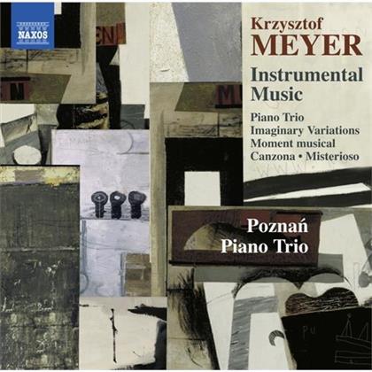 Krzysztof Meyer (*1943) & Poznan Piano Trio - Instrumental Music