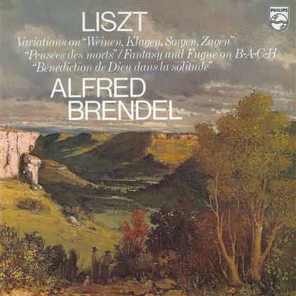 Alfred Brendel & Franz Liszt (1811-1886) - Fantasia And Fugue On B-A-C-H / Variantions (LP)