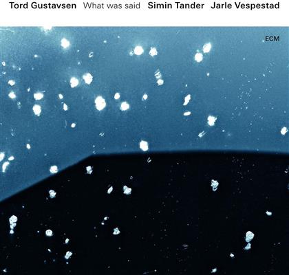 Tord Gustavsen, Simin Tander & Jarle Vespestad - What Was Said