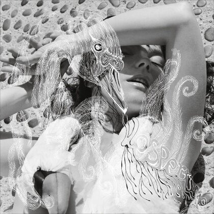 Björk - Vespertine - 2016 Version (2 LPs + Digital Copy)