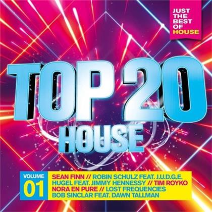 Top 20-House 1