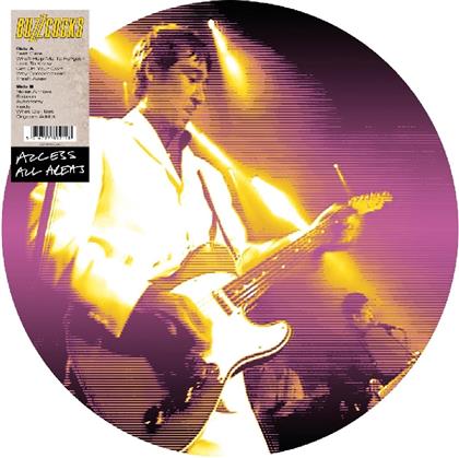 Buzzcocks - Access All Areas 2 - Picture Disc (LP)