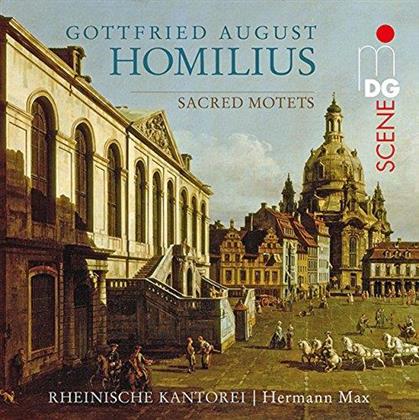 Rheinische Kantorei, Max Hermann & Gottfried August Homilius - Sacred Motets