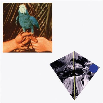 Andrew Bird - Are You Serious (Deluxe Edition, 2 CDs)