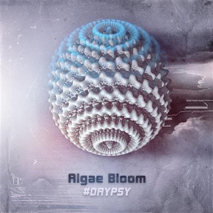 Algae Bloom - Daypsy