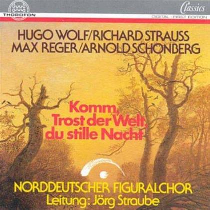 Hugo Wolf (1860-1903), Richard Strauss (1864-1949), Max Reger (1873-1916), Arnold Schönberg (1874-1951), … - Komm Trost Der Welt