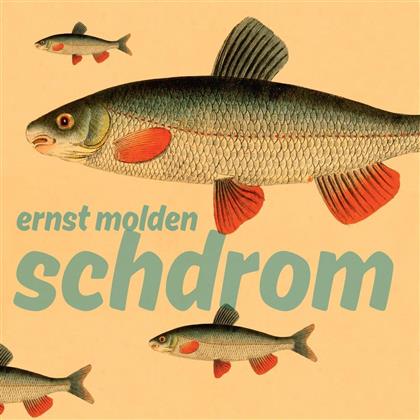 Ernst Molden - Schdrom (LP + CD)