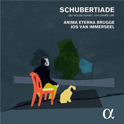 Anima Eterna Brugge, Franz Schubert (1797-1828) & Jos van Immerseel - Schubertiade "Du Holde Kunst, Ich Danke Dir" (4 CDs)