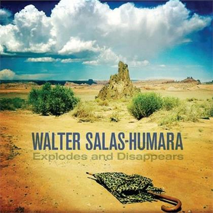 Walter Salas-Humara - Explodes & Disappears