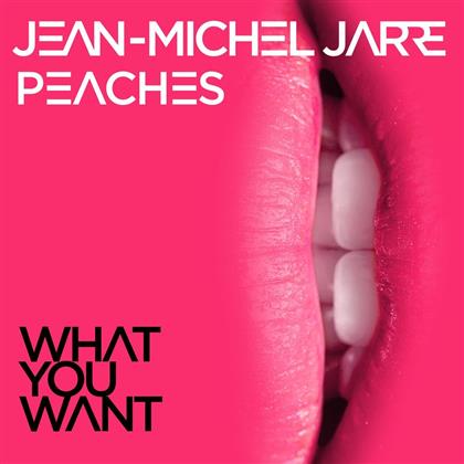 Jean-Michel Jarre & Peaches - What You Want (12" Maxi)