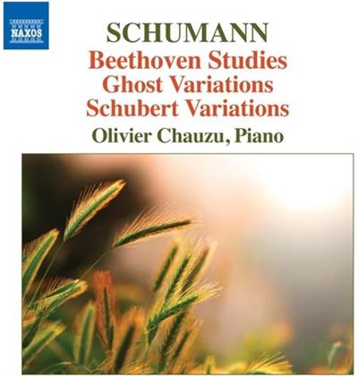 Robert Schumann (1810-1856) & Olivier Chauzu - Beethoven Studies / Variations