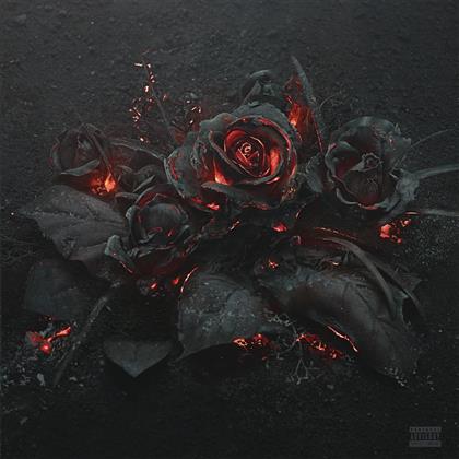 Future (Rap) - Evol (LP)
