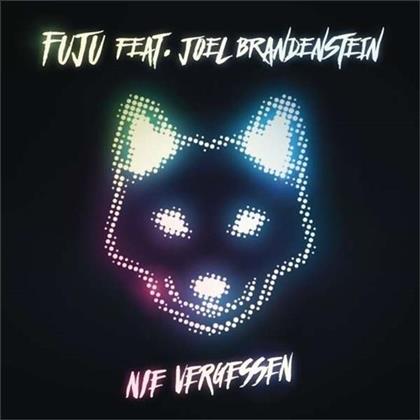 Fuju feat. Joel Brandenstein - Nie Vergessen