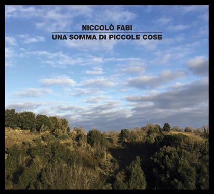 Niccolo Fabi - Una Somma Di Piccole Cose (LP)