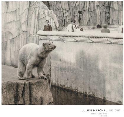 Julien Marchal - Insight II