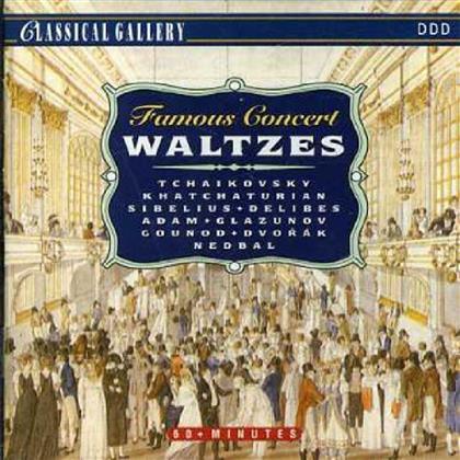 Various Artists - 2 Cds - Famous Concert Waltzes