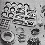 Small World Experience - Shelf-Life (LP)