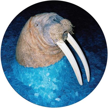 Tross - Walrus EP - Picture Disc (Colored, LP)