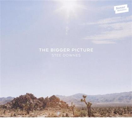 Stee Downes - Bigger Picture