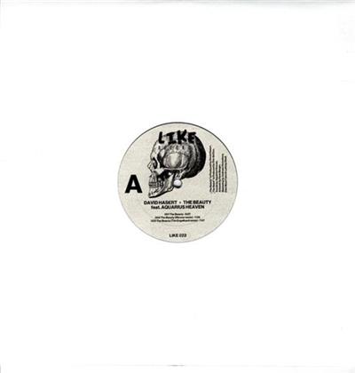 David Hasert & Dirk Sid Eno - Beauty & The Beast (LP)