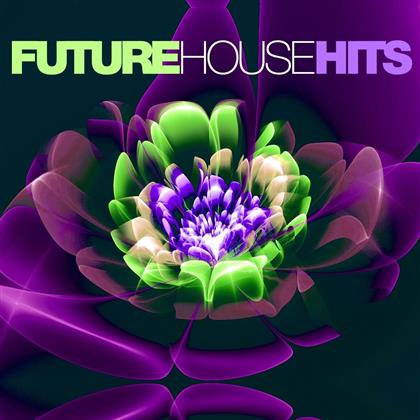 Future House Hits (2 CDs)
