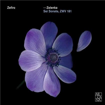 Zefiro & Jan Dismas Zelenka (1679-1745) - Sei Sonate ZWV181 (2 CD)
