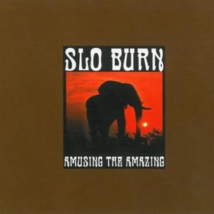 Slo Burn (John Garcia/Kyuss) - Amusing The Amazing - Reissue (LP)