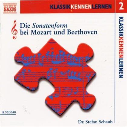 Stefan Schaub - Sie Sonatenform bei Mozart und Beethoven - Klassikkennenlernen 2