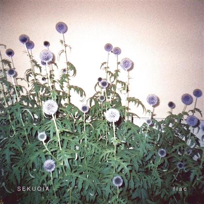 Sekuoia - Flac (LP)