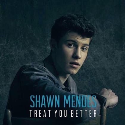 Shawn Mendes - Treat You Better - 2 Track
