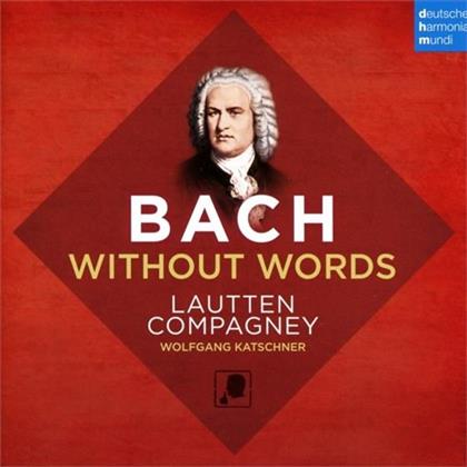 Lautten Compagney & Johann Sebastian Bach (1685-1750) - Bach Without Words
