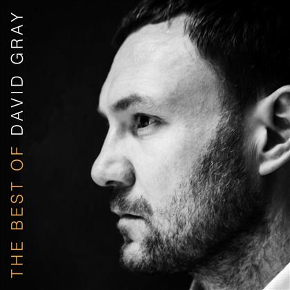 David Gray - Best Of (2 LPs)