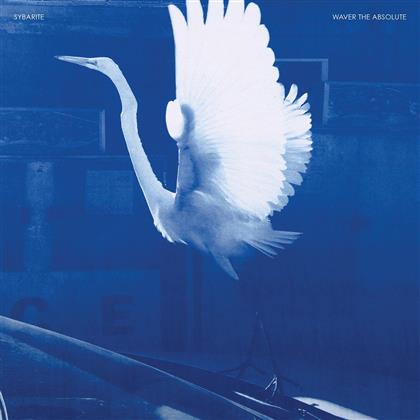 Sybarite - Waver The Absolute (LP)