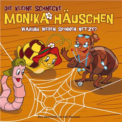 Die Kleine Schnecke Monika Häuschen - 09 Warum Weben Spinnen Netze?