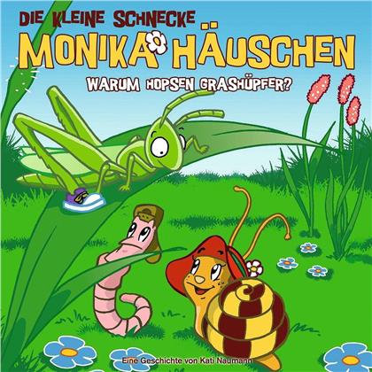 Die Kleine Schnecke Monika Häuschen - 11 Warum Hopsen Grashüpfer?