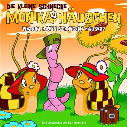 Die Kleine Schnecke Monika Häuschen - 15 Warum Haben Schnecken Häuser?