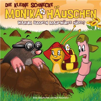 Die Kleine Schnecke Monika Häuschen - 22 Warum Buddeln Maulwürfe Hügel?