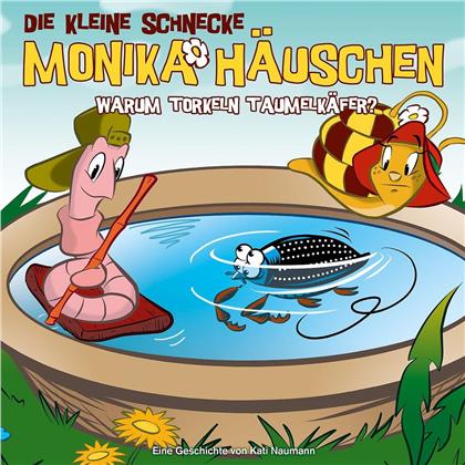 Die Kleine Schnecke Monika Häuschen - 38 Warum Torkeln Taumelkäfer?