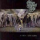 The Allman Brothers Band - Hitting The Note - Gatefold (Colored, LP)